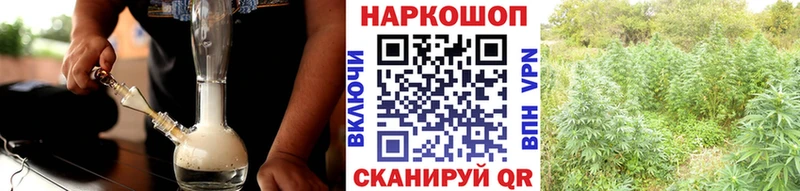 Виды наркоты Георгиевск A PVP  Каннабис  Cocaine  МЕФ  ГАШ 