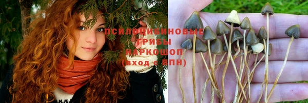 кристаллы Бородино