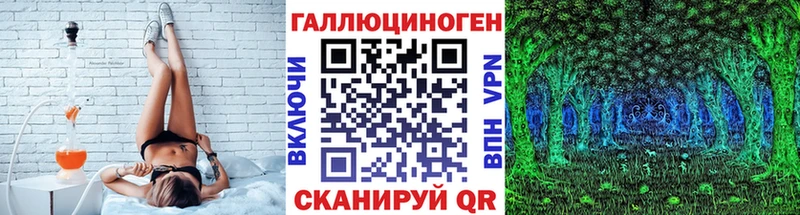 mega вход  Георгиевск  Псилоцибиновые грибы GOLDEN TEACHER 